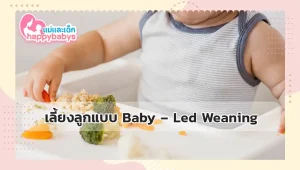 เลี้ยงลูกแบบ BLW
