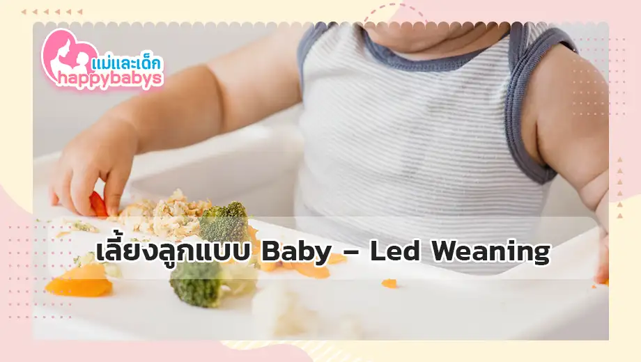 เลี้ยงลูกแบบ BLW
