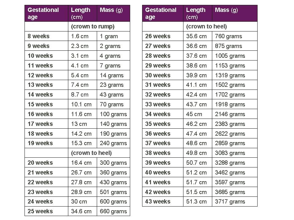 น้ำหนักทารกในครรภ์